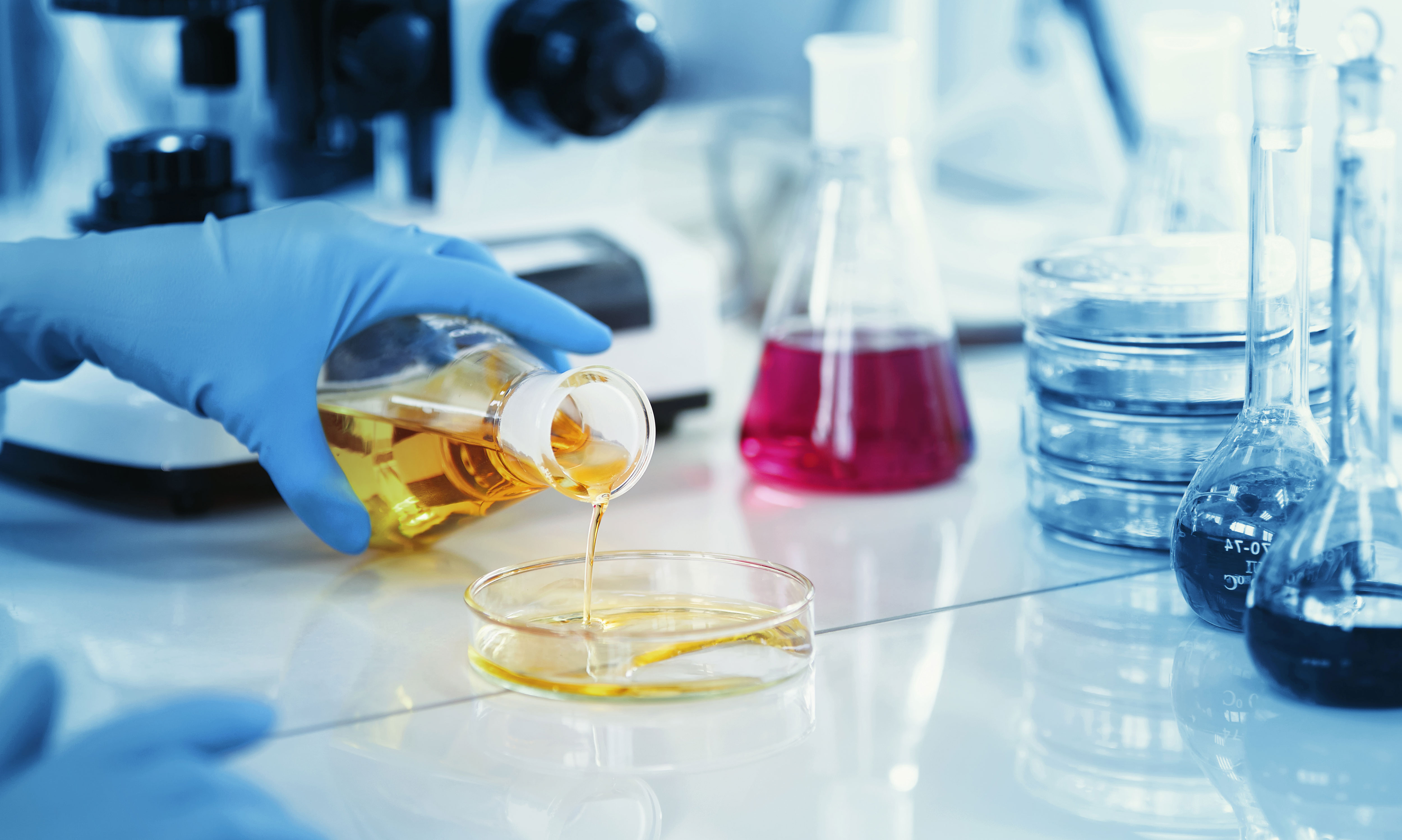 高效液相色譜法檢測當(dāng)歸中阿魏酸